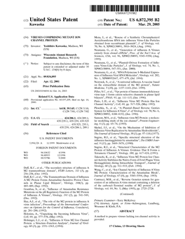 Patent Document US 06872395