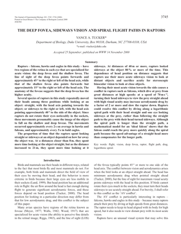 Sideways Vision and Spiral Flight Paths in Raptors