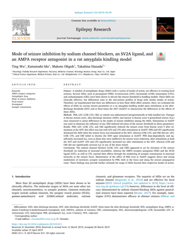 Mode of Seizure Inhibition by Sodium Channel Blockers, an SV2A Ligand