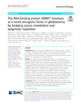 The RNA-Binding Protein SERBP1 Functions As a Novel Oncogenic