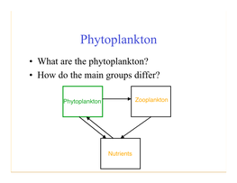 Phytoplankton