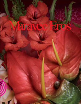 Catalogo Maravee Eros.Pdf