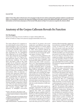 Anatomy of the Corpus Callosum Reveals Its Function