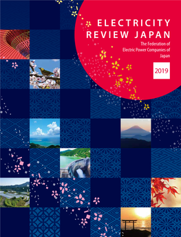 Electricity Review Japan