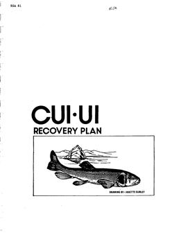 Cui-Ui Recovery Plan