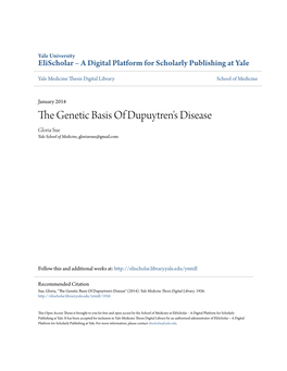 The Genetic Basis of Dupuytren's Disease Gloria Sue Yale School of Medicine, Gloriarsue@Gmail.Com