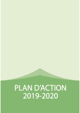 Plan D'action 2019 Et Programme Prévisionnel 2020-2021