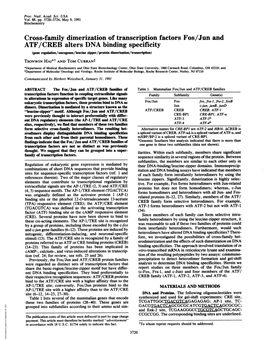 Cross-Family Dimerization of Transcription Factors Fos/Jun