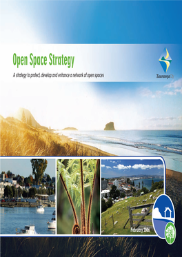 Open Space Strategy.Indd