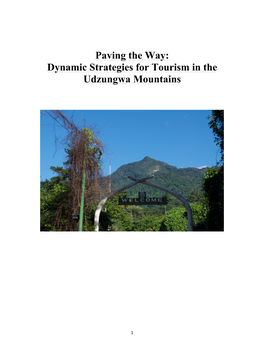 Dynamic Strategies for Tourism in the Udzungwa Mountains