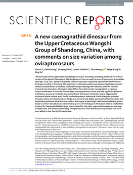 A New Caenagnathid Dinosaur from the Upper Cretaceous Wangshi