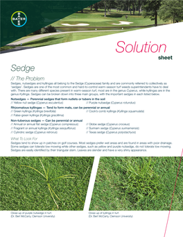 Sedge Golf Solutions