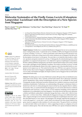 Molecular Systematics of the Firefly Genus Luciola