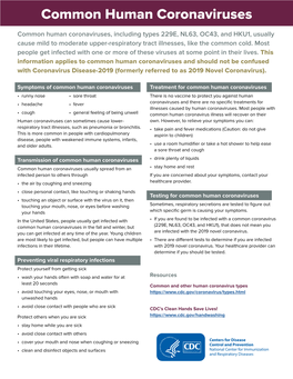 Common Human Coronaviruses
