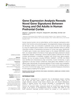 Gene Expression Analysis Reveals Novel Gene Signatures Between Young and Old Adults in Human Prefrontal Cortex
