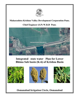 Integrated State Water Plan for Lower Bhima Sub Basin (K-6) of Krishna Basin