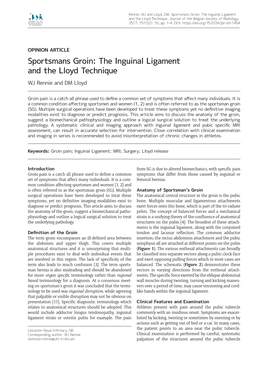 Sportsmans Groin: the Inguinal Ligament and the Lloyd Technique