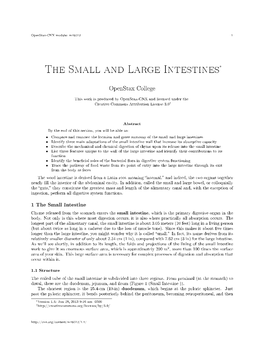 The Small and Large Intestines∗