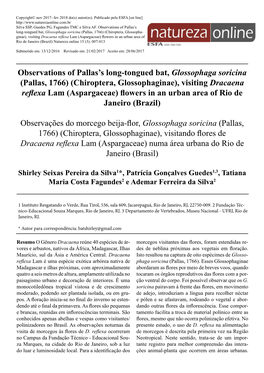 Observations of Pallas's Long-Tongued Bat, Glossophaga Soricina