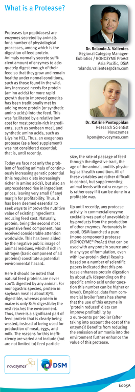 What Is a Protease?