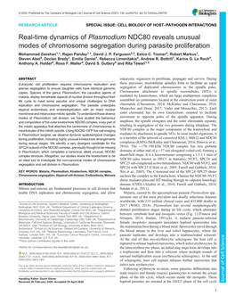 Real-Time Dynamics of Plasmodium NDC80 Reveals Unusual Modes of Chromosome Segregation During Parasite Proliferation Mohammad Zeeshan1,*, Rajan Pandey1,*, David J