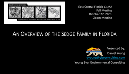 An Overview of the Sedge Family in Florida