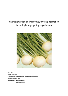 Characterization of Brassica Rapa Turnip Formation in Multiple Segregating Populations