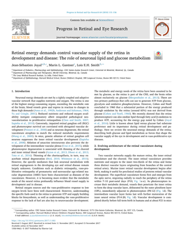 Retinal Energy Demands Control Vascular Supply of the Retina in T Development and Disease: the Role of Neuronal Lipid and Glucose Metabolism