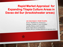 Rapid Market Appraisal for Expanding Tilapia Culture Areas in Davao Del Sur (Brackishwater Areas)