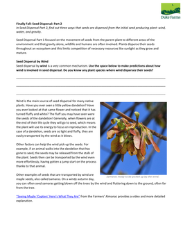 Seed Dispersal: Part 2 in Seed Dispersal Part 2, Find out Three Ways That Seeds Are Dispersed from the Initial Seed Producing Plant: Wind, Water, and Gravity