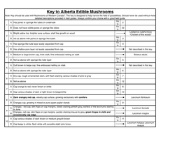 Key to Alberta Edible Mushrooms Note: Key Should Be Used With"Mushrooms of Western Canada"