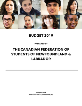 CFSNL-2019-Budget-Submission.Pdf