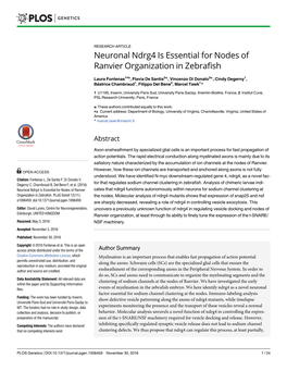 Neuronal Ndrg4 Is Essential for Nodes of Ranvier Organization in Zebrafish