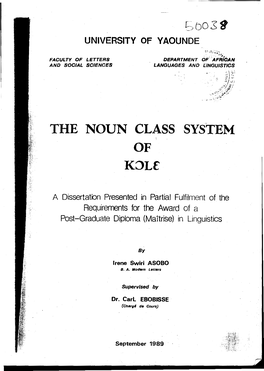 The Noun Class System Of