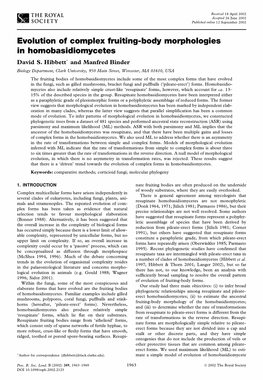 Evolution of Complex Fruiting-Body Morphologies in Homobasidiomycetes