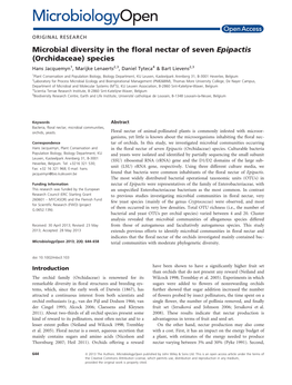 Microbial Diversity in the Floral Nectar of Seven Epipactis