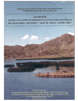Totorales En El Lago Uru-Uru, Rio Desaguadero Y Lago Poopo
