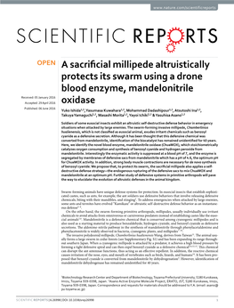 A Sacrificial Millipede Altruistically Protects Its Swarm Using a Drone