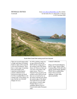 PENHALE DUNES from the Website Cornwall for the Book Discover Butterflies in Britain © D E Newland 2009