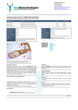 Epithelial Marker) Recombinant Rabbit Monoclonal Antibody [Clone KRTH/1576R]