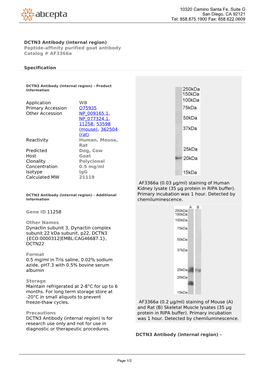 DCTN3 Antibody (Internal Region) Peptide-Affinity Purified Goat Antibody Catalog # Af3366a