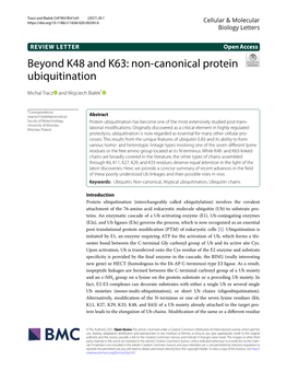 Beyond K48 and K63: Non-Canonical Protein Ubiquitination