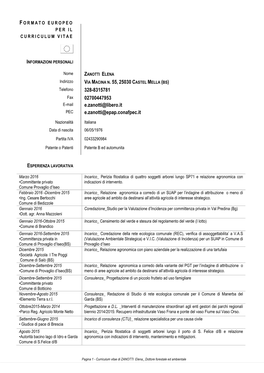 Curriculum Vitae Formato Europeo