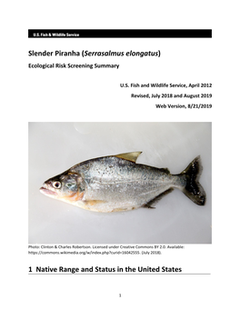Serrasalmus Elongatus (Slender Piranha) Ecological Risk Screening Summary