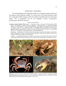 17 the Crabs Belonging to the Grapsoidea Include a Lot Of