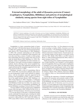 Lepidoptera, Nymphalidae, Biblidinae) and Patterns of Morphological Similarity Among Species from Eight Tribes of Nymphalidae