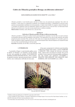 Cultivo De Tillandsia Geminiflora Brongn. Em Diferentes Substratos(1)