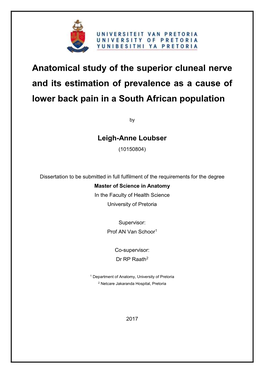 Anatomical Study of the Superior Cluneal Nerve and Its Estimation of Prevalence As a Cause of Lower Back Pain in a South African Population