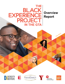 The Black Experience Project in GTA: Overview Report