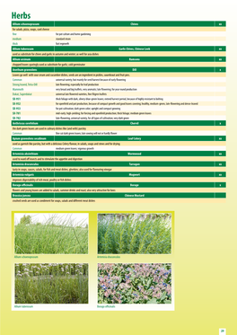 Download Herb Seed Assortment 2019/20